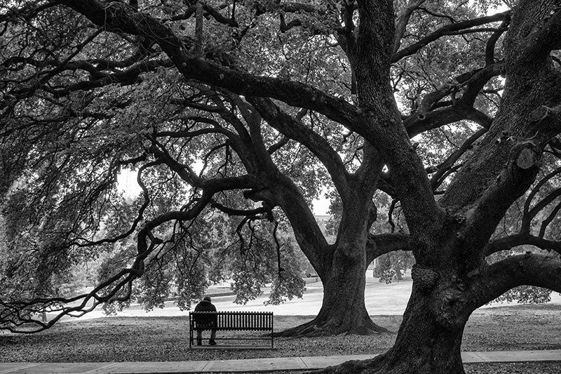 A deeply evocative and heartwarming image that embodies the profound journey of dealing with loss and the beauty of memories shared with loved ones. The quote poignantly illustrates the internal struggle between despair and gratitude, highlighting the choices we face when grieving. It encourages individuals to transform their sorrow into a celebration of life, suggesting that, while it’s natural to mourn the absence of those we love, true fulfillment comes from honoring their legacy through love, laughter, and openness to future experiences. The message inspires resilience, emphasizing the strength found in cherishing the memories that enrich our hearts and guide us forward, fostering a sense of hope for tomorrow while keeping the spirit of the departed alive within us.